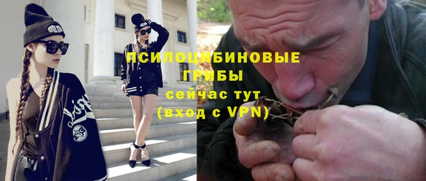 мяу мяу мука Аркадак