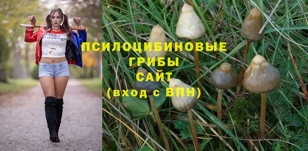 дживик Арсеньев
