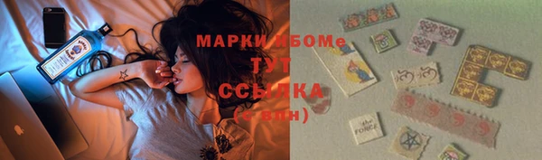 мяу мяу мука Аркадак