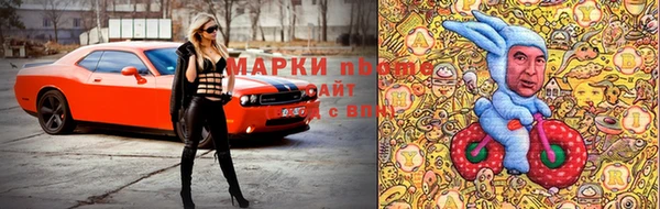 мяу мяу мука Аркадак