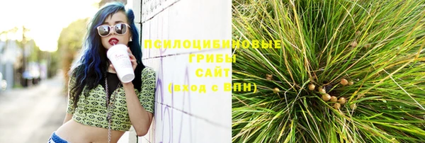 дживик Арсеньев