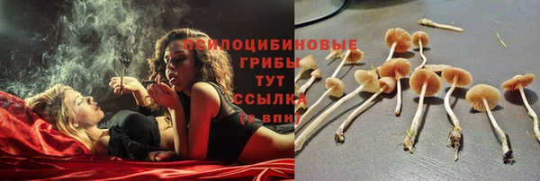 мяу мяу мука Аркадак